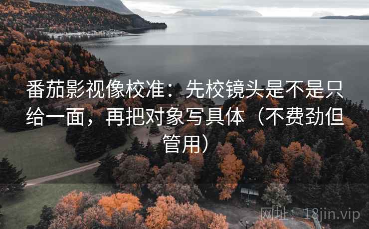番茄影视像校准：先校镜头是不是只给一面，再把对象写具体（不费劲但管用）